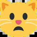 Frowning_cat