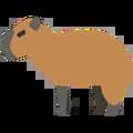 Capybara