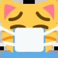 Crying_mask_cat